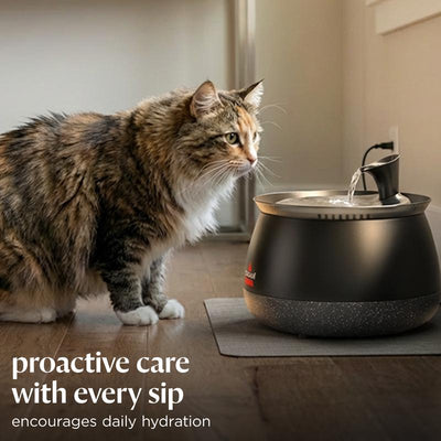 PurrFlow Filtered Cat Water Fountain