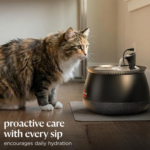 PurrFlow Filtered Cat Water Fountain