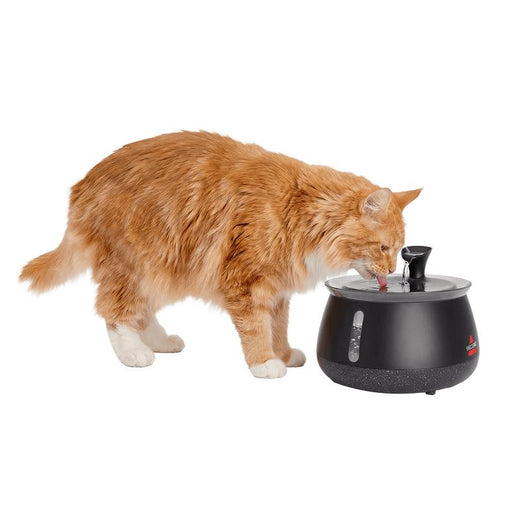 PurrFlow Filtered Cat Water Fountain