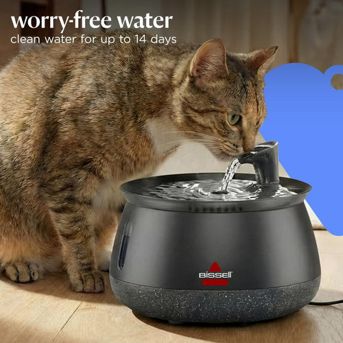 PurrFlow Filtered Cat Water Fountain