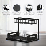 Under Sink Organizer